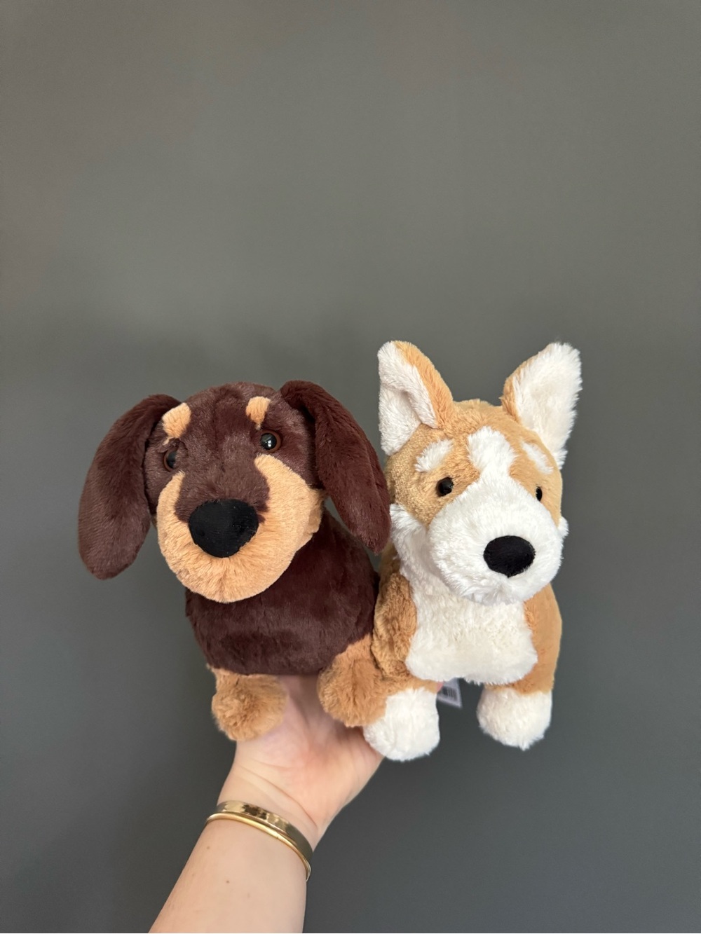 Jellycat Dog Bundle BNWT